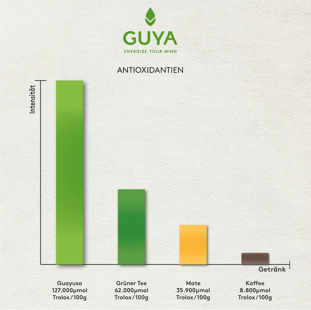 Bio Guayusa Tee Chai