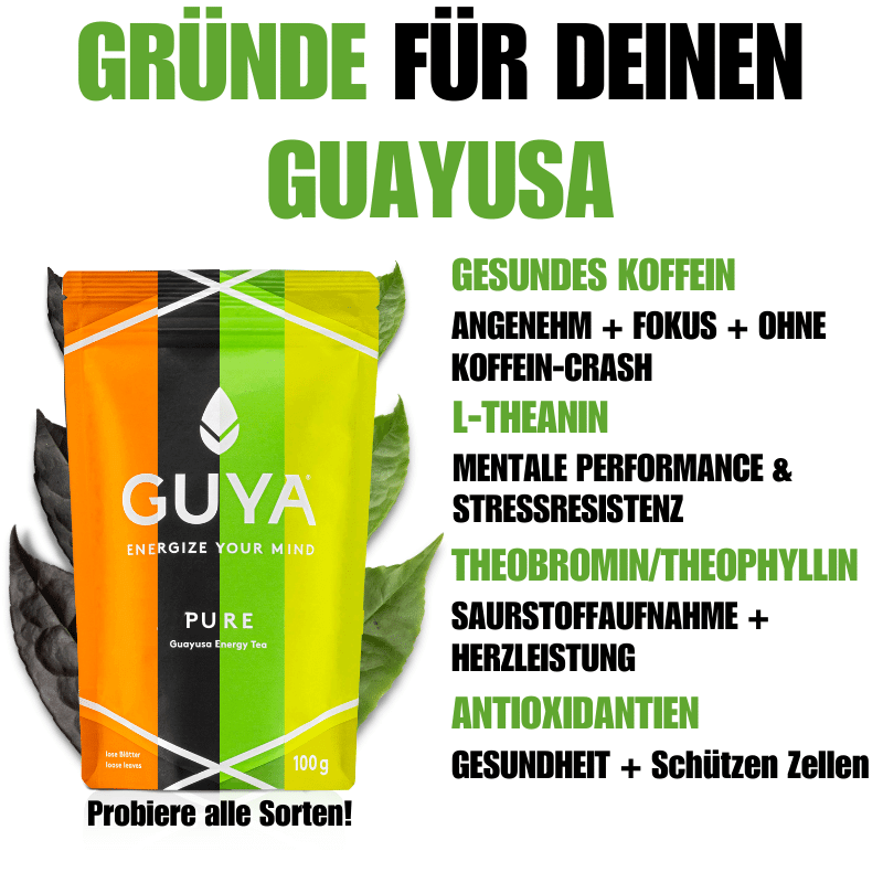 Guayusa Tee - Zitronengras