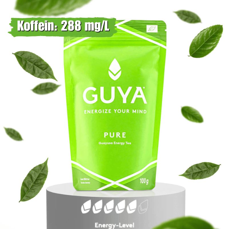 Bio Guayusa Tee - Rein