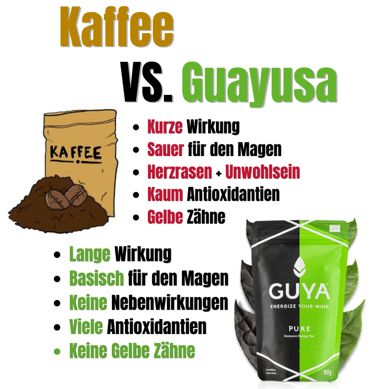 Bio Guayusa Tee Chai